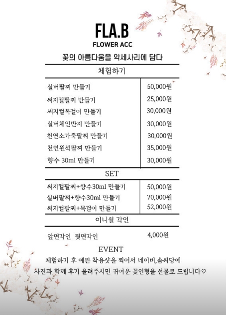 플라비 이미지