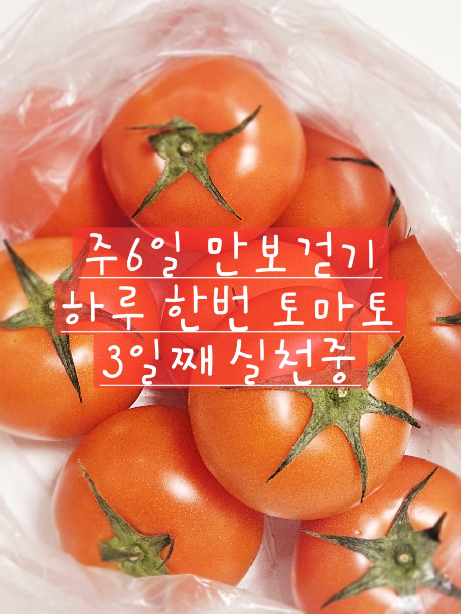 (주)토마토연구소 이미지