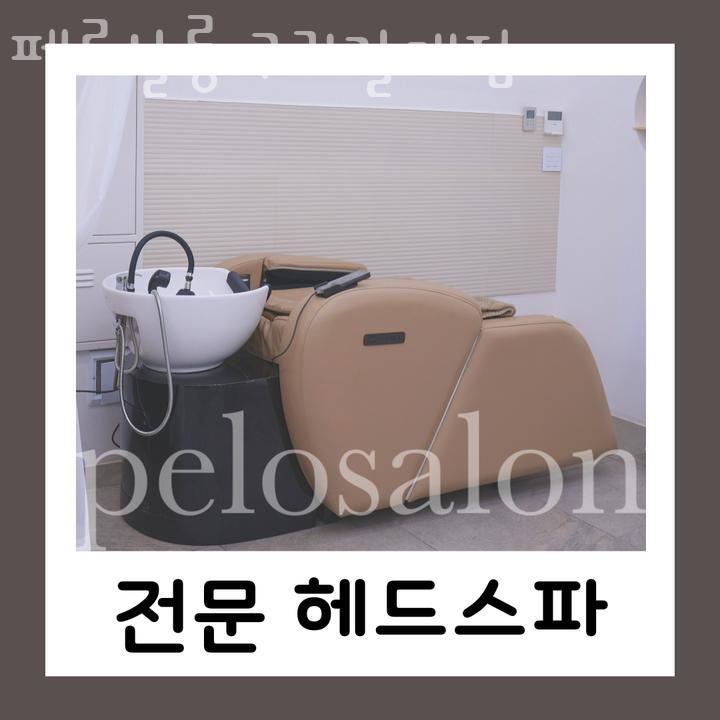 펠로살롱 이미지