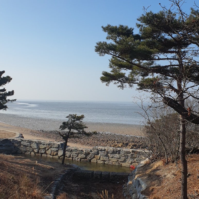 국립무의도자연휴양림 이미지