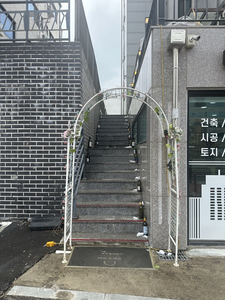 금란이용 이미지