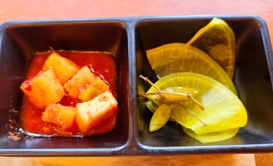 돈반 이미지