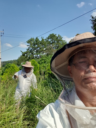 산까치자연산약초 이미지