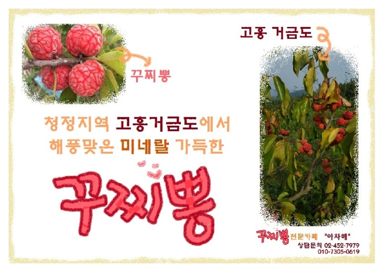 골드온누리 이미지