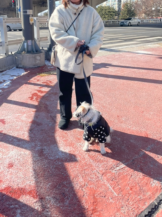 널독(NERDOG) 이미지