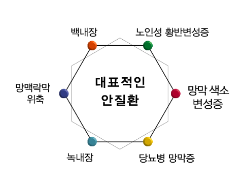 루아이즈 이미지
