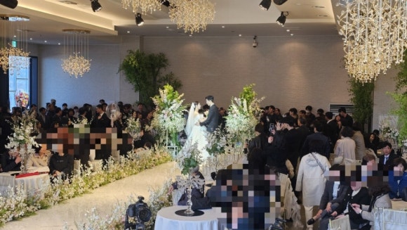 케이엔엠 이미지