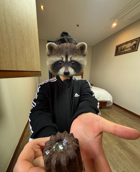 끼리끼리 이미지