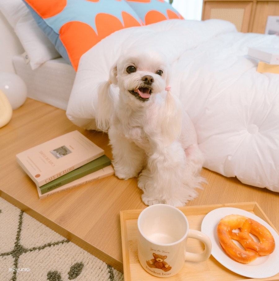 해피모먼트스튜디오 이미지