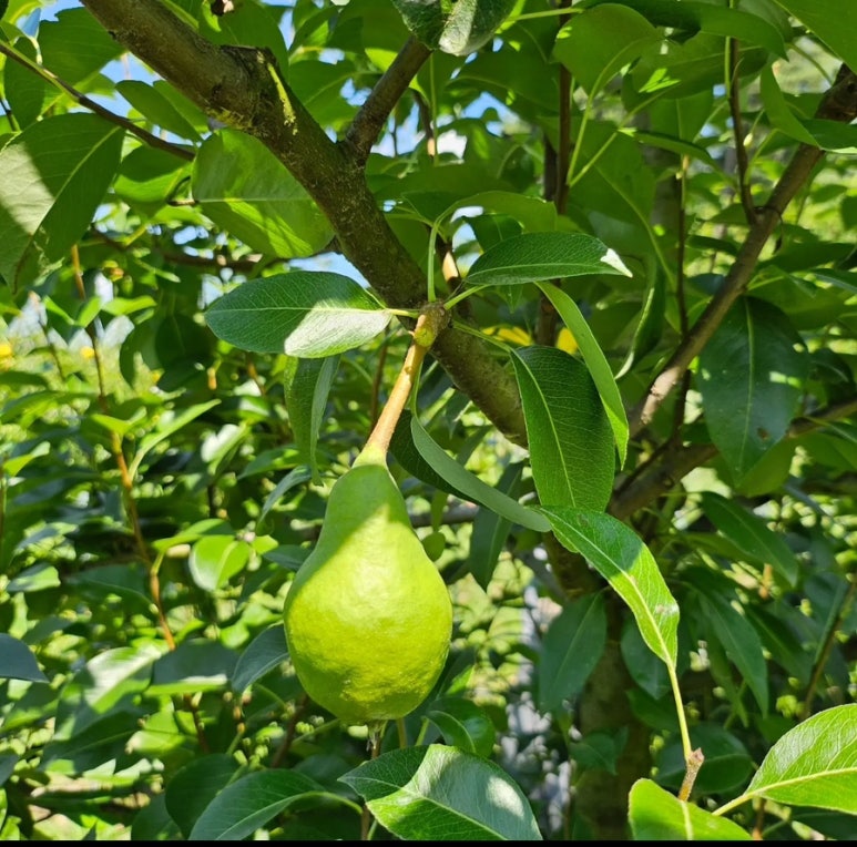 랑스베이킹 이미지
