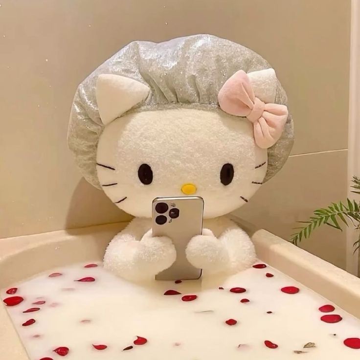 키티 이미지
