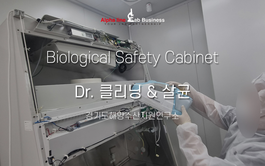 금일엔지니어링주 이미지