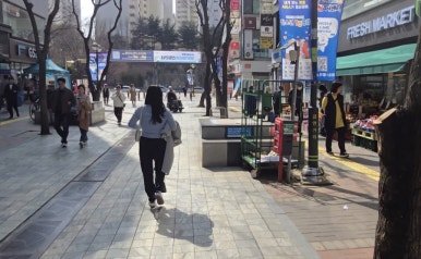 우리청과야채 이미지