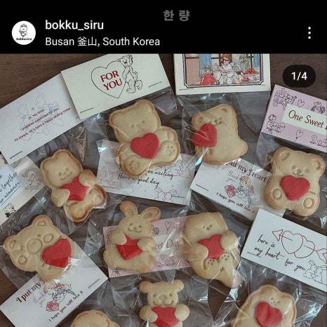 보꾸시루 이미지