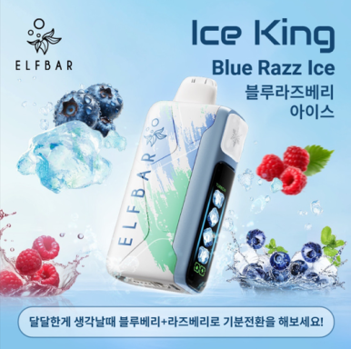 라온전자 이미지