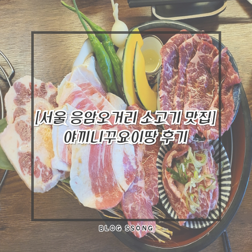 야끼니꾸요이땅 이미지