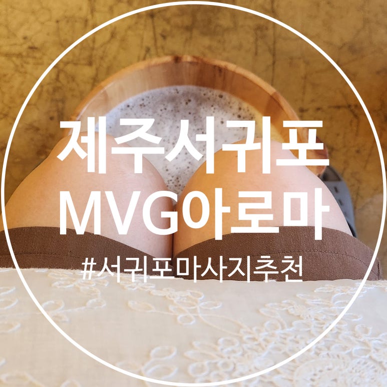 엠브이지 이미지