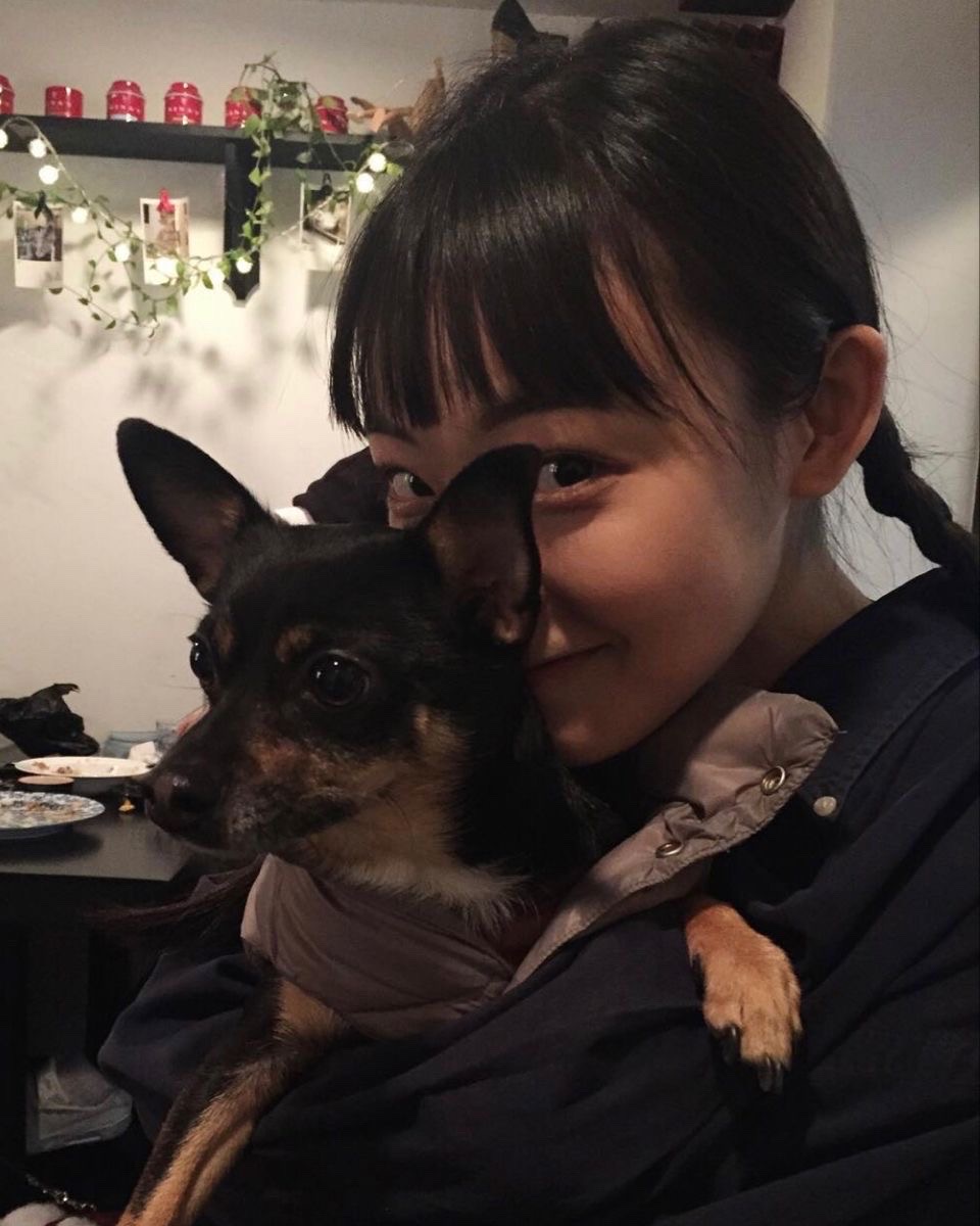 폼생폼사 이미지