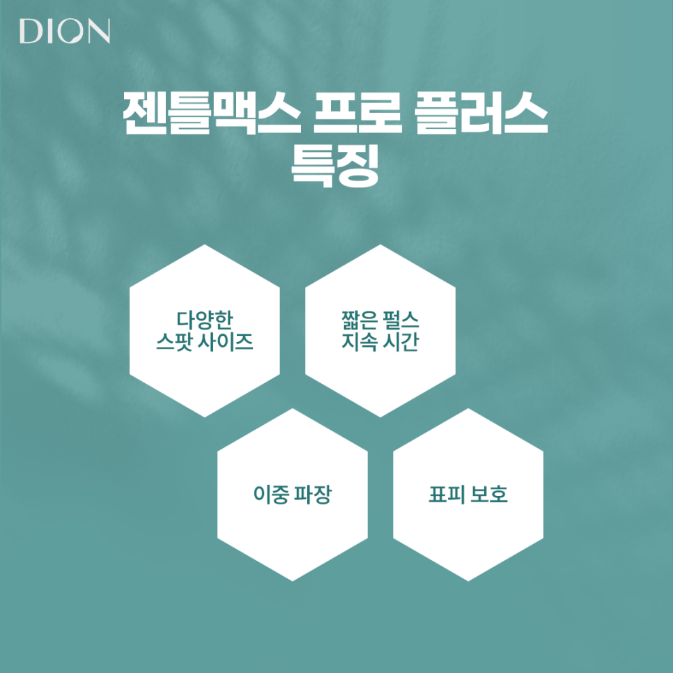 디온플러스 이미지