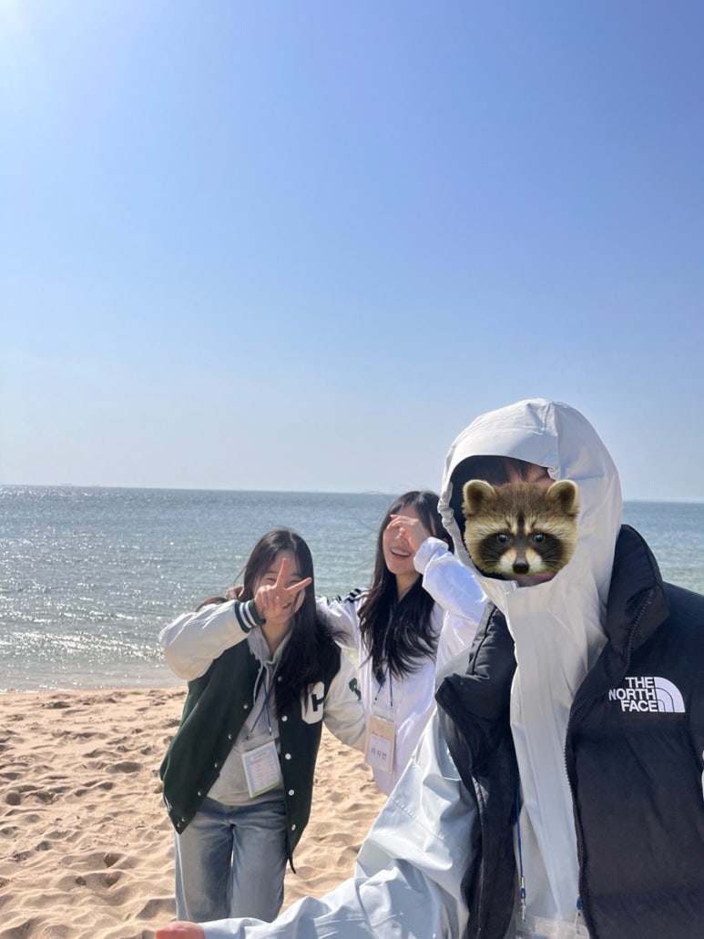 다행 이미지