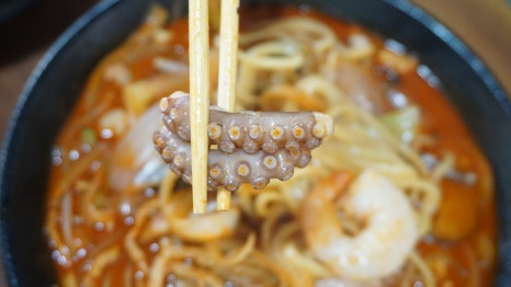 벚꽃반점 이미지
