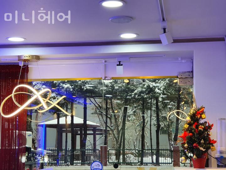 미니헤어 이미지
