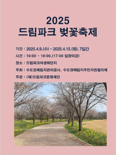 벚꽃뮬리 이미지