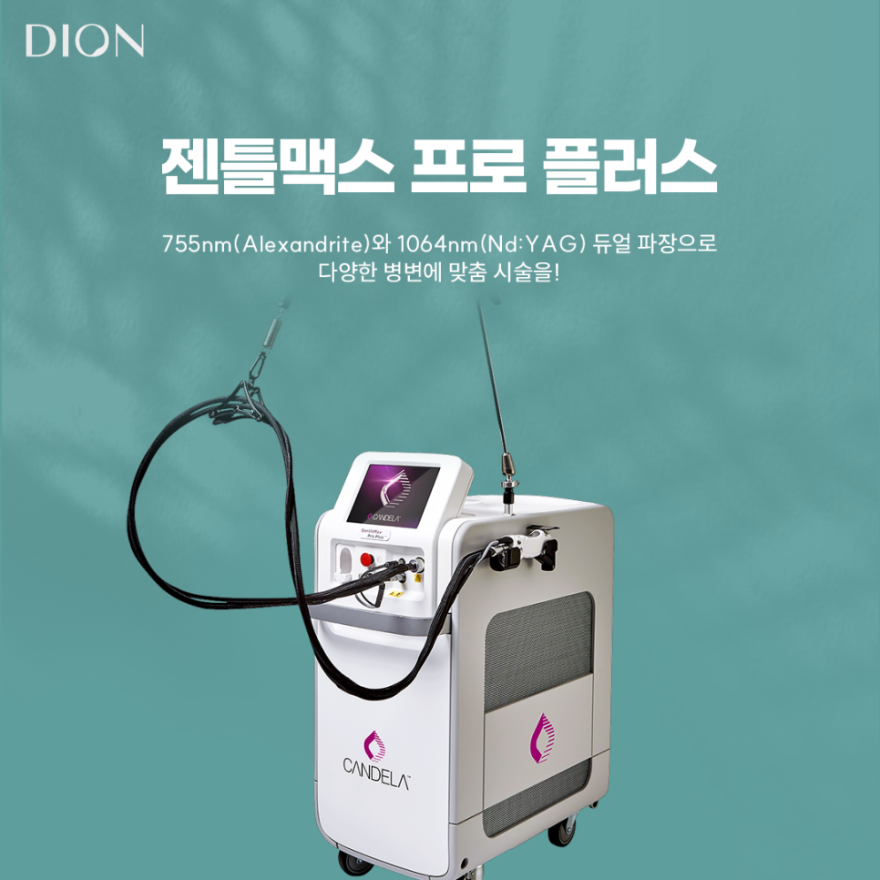 디온플러스 이미지