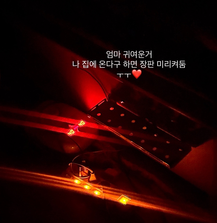 인가배 이미지
