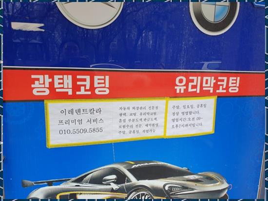 덴트칼라 이미지