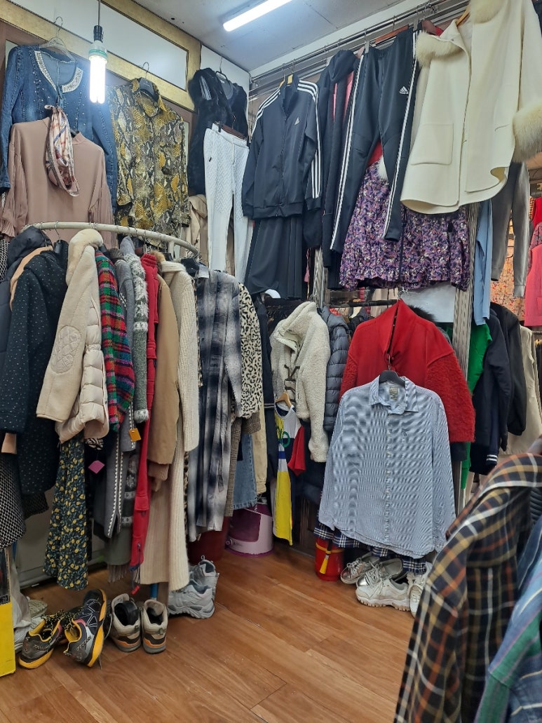 포도나무빈티지 이미지