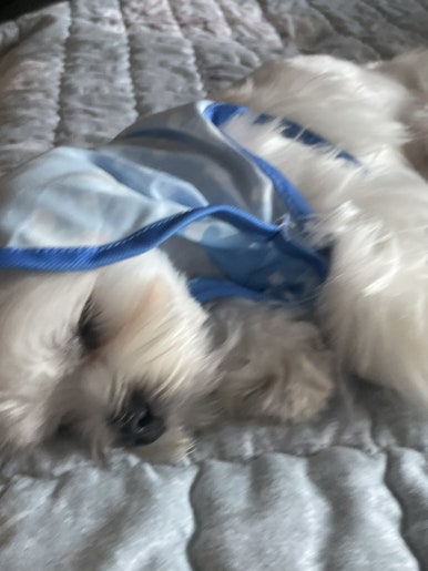 예원서림 이미지