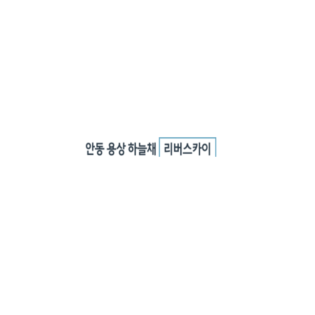 리버스카이 이미지