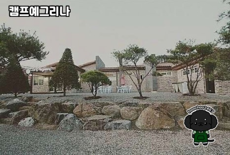 캠프예그리나 이미지