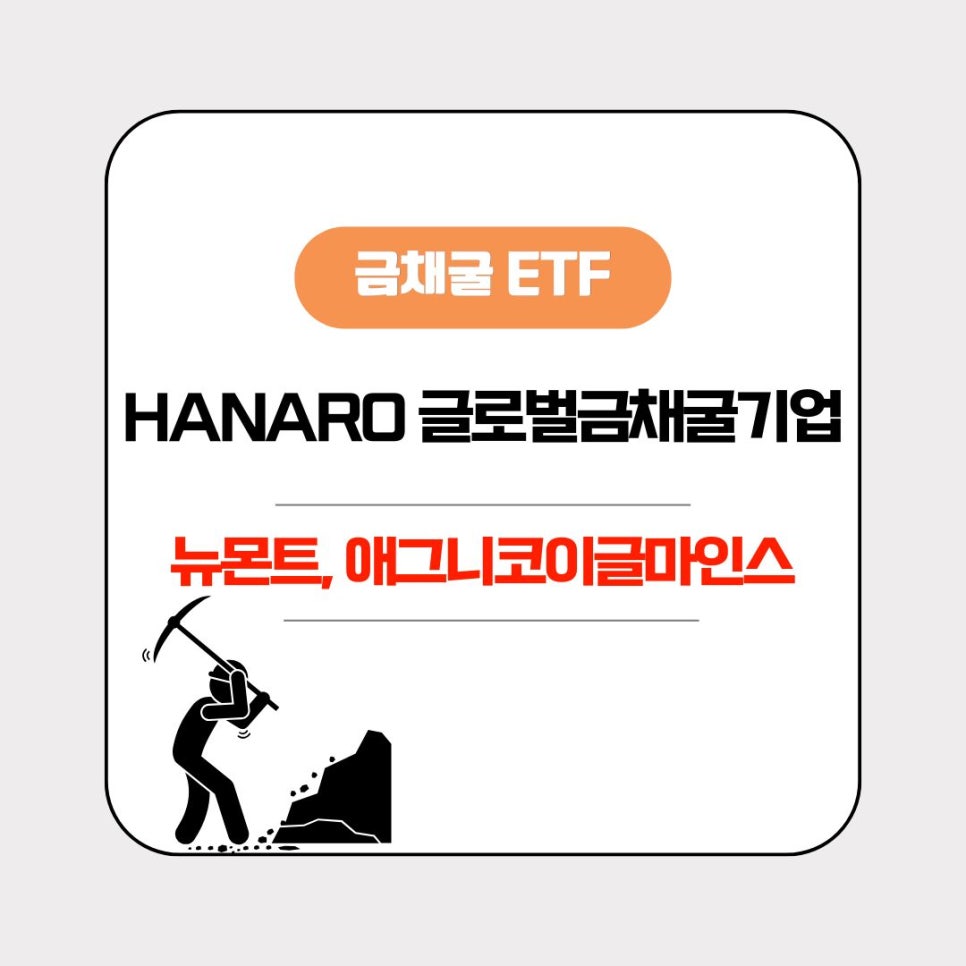 니코글로벌 이미지