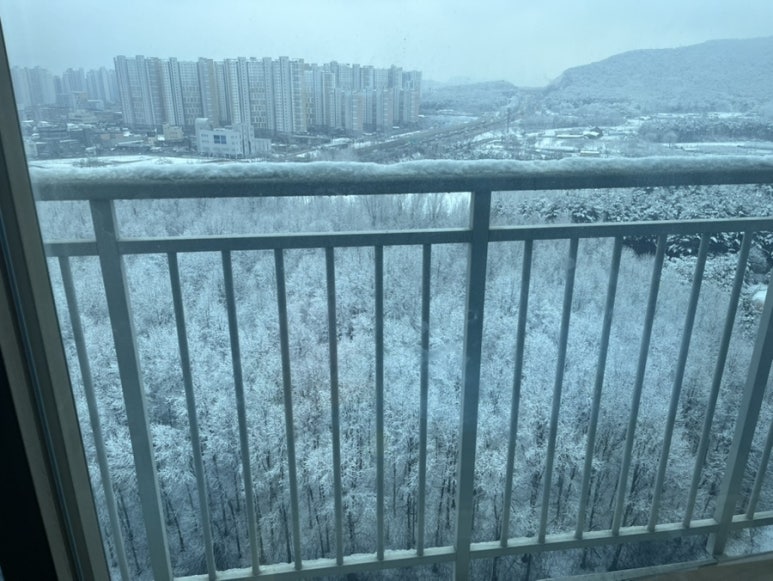 예글 이미지