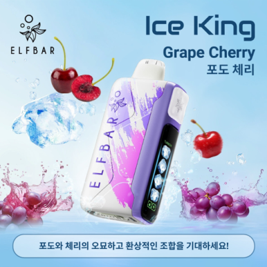 라온전자 이미지