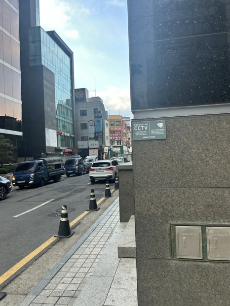 프리지아103 이미지