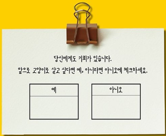 책방초록고양이 이미지