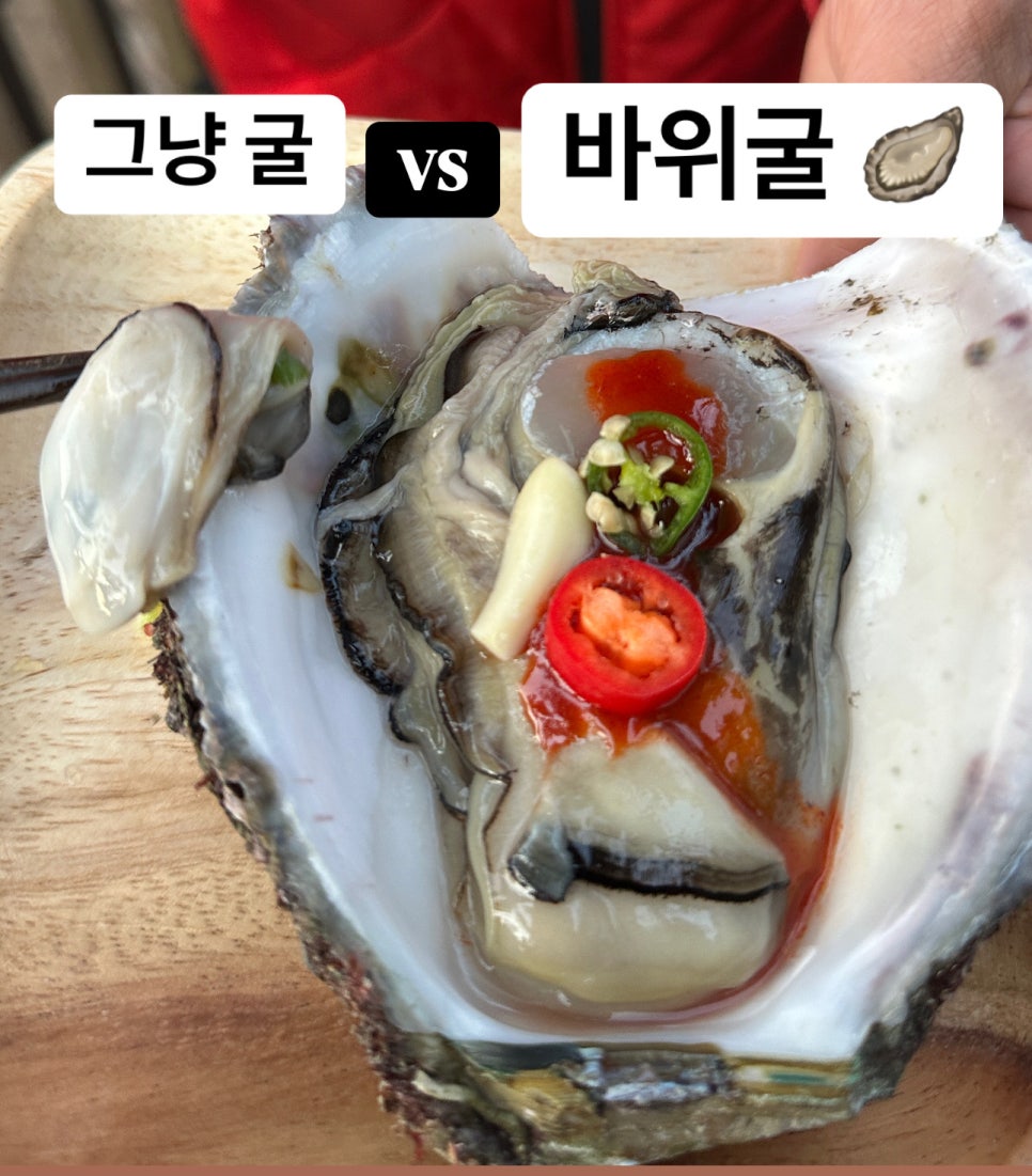 굴과함께 이미지
