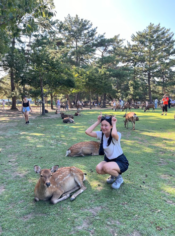 애잘린 이미지