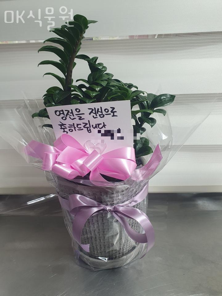 OK식물원 이미지