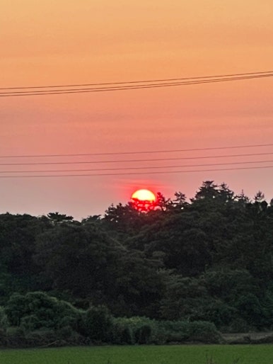오카소 이미지
