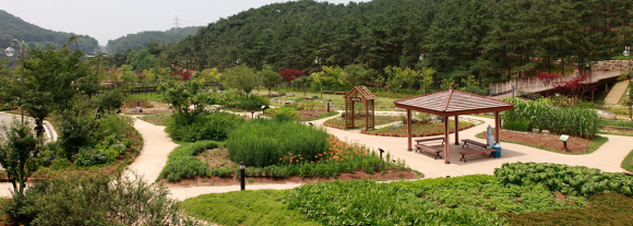 연수꽃식물원 이미지