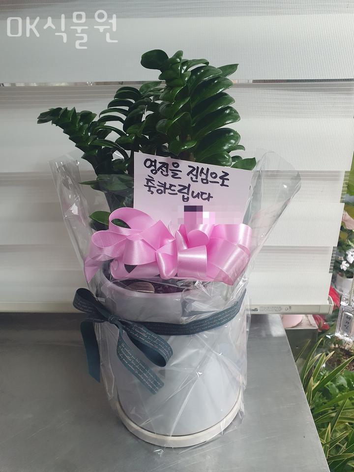 OK식물원 이미지