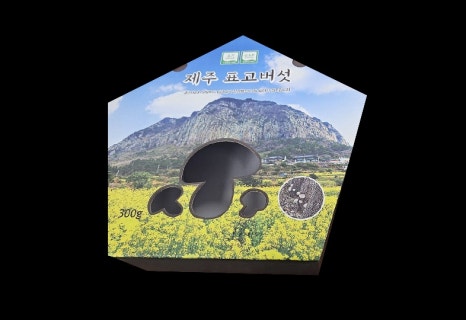 다올종합관리 이미지