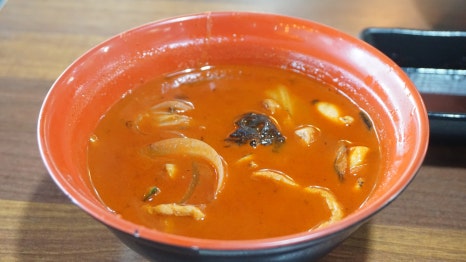 벚꽃반점 이미지