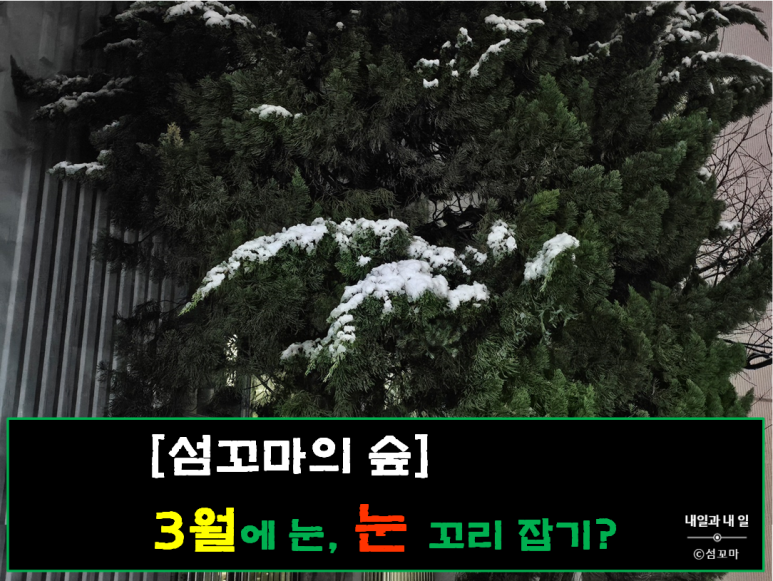 눈눈 이미지
