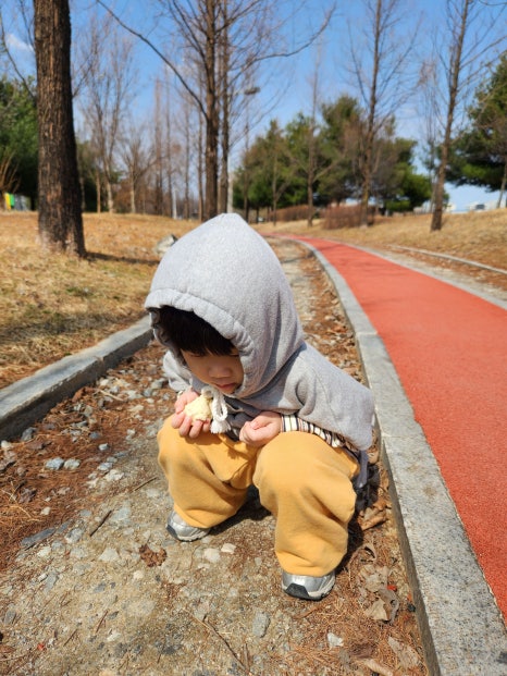 삼부자교동짬뽕 이미지
