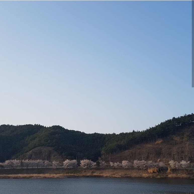성류길빵 이미지